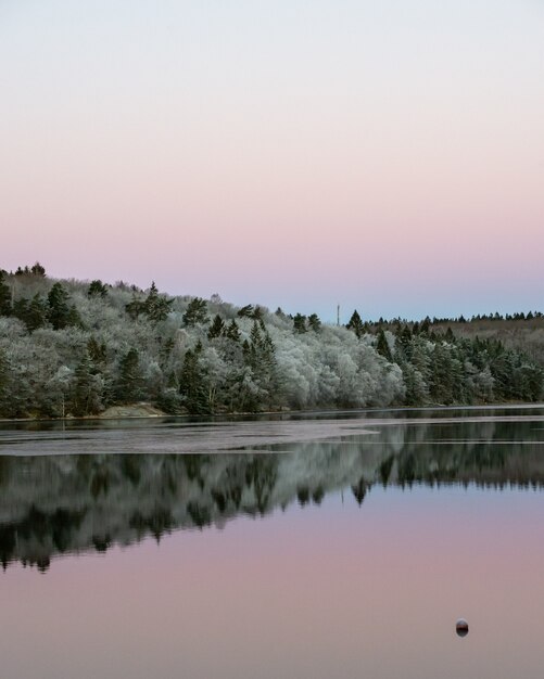 Calm water and reflections from trees and sky.