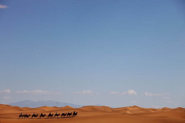 Camel caravan in a desert in Xinjiang, China