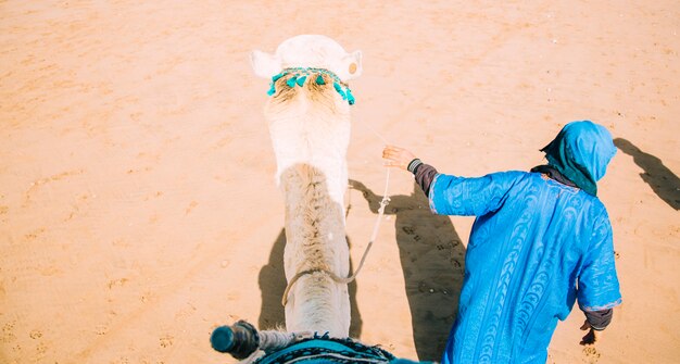 Верблюд в пустынный ландшафт в Марокко