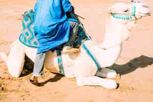 Foto gratuita cammello nel paesaggio del deserto in marocco