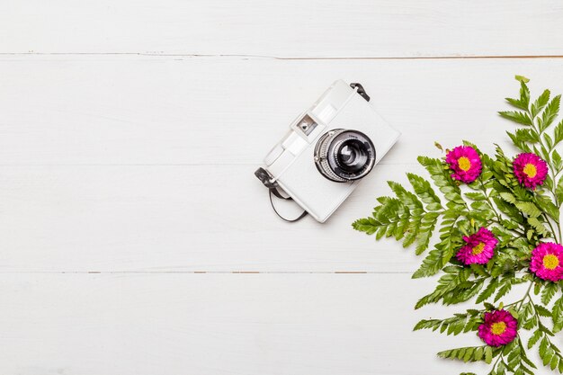 Camera and pink flowers with green leaves
