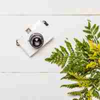 Free photo camera and yellow flowers with green leaves