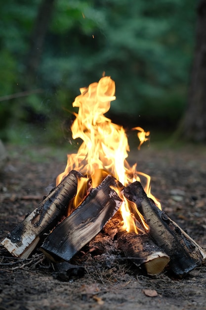 Free photo campfire