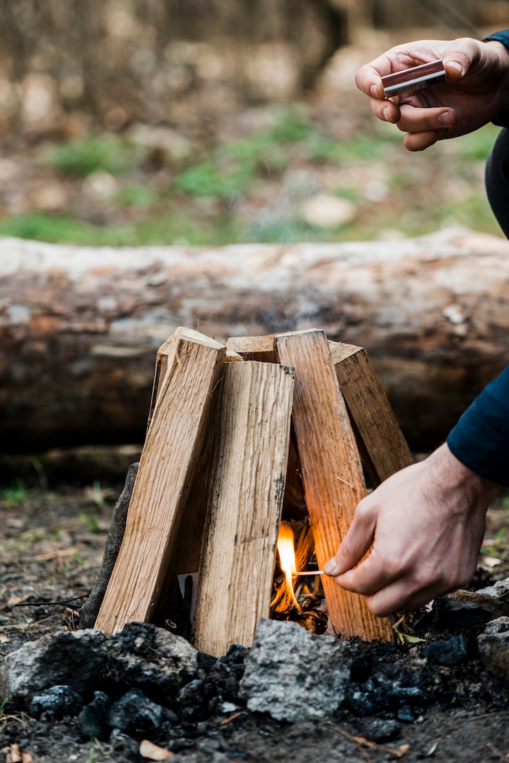 Free Photo campfired outdoor