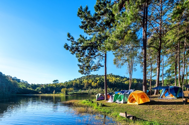 태국의 매 홍손 Pang Ung 호수에서 햇빛이 비치는 소나무 아래 캠핑 텐트.