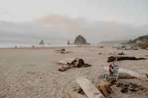 Free photo cannon beach surrounded by holiday makers with the haystack rock under a cloudy sky