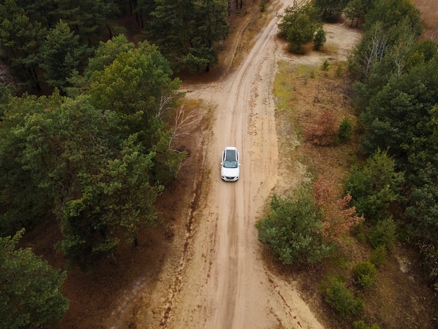 Car on a dirt road by the forest