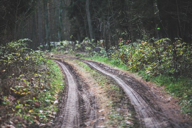 Car dirt road