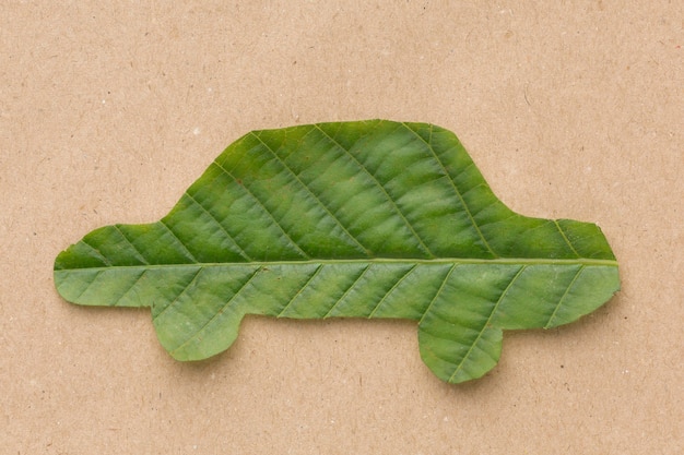 Free photo car leaf shape