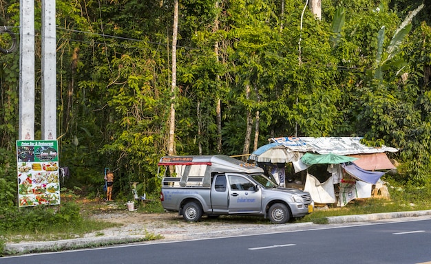 Car parked on side of road near forest