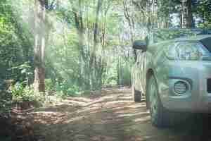 Free photo car with dirt road rally and nature background