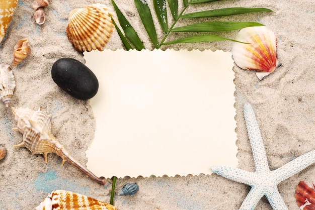 無料写真 貝の横の砂のカード