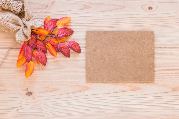 Cardboard near pouch with dry twig