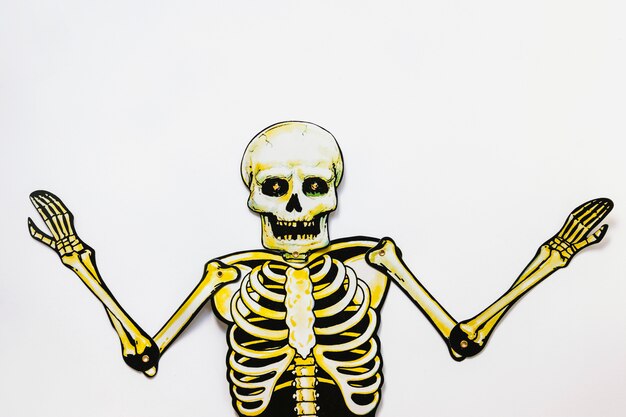 Cardboard skeleton on white background