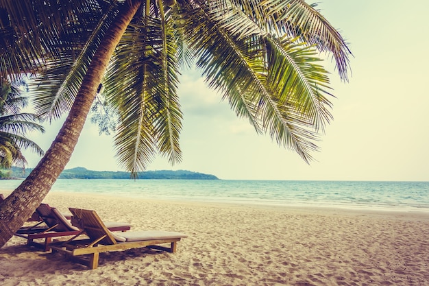 caribbean coconut holiday landscape sea