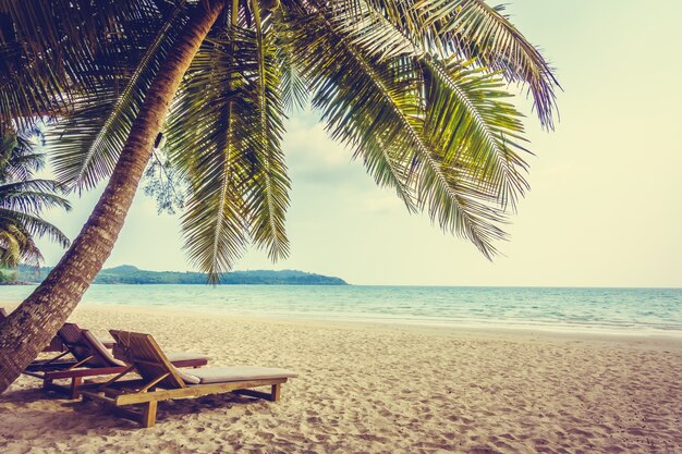 caribbean coconut holiday landscape sea