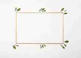 Free photo carnation flowers buds surrounding an empty horizontal frame