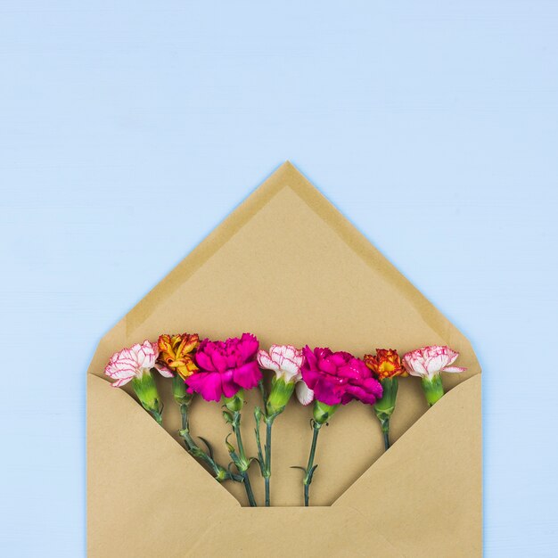 Carnation flowers inside of an envelope