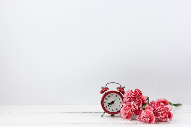 Carnation red flowers and red alarm clock on white wooden surface