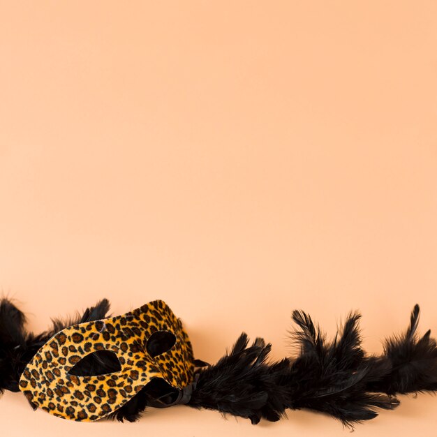 Carnival mask with feathers