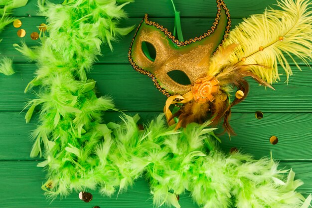 Carnival mask with feathers