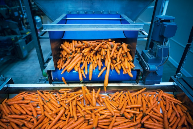 Foto gratuita verdure di carote che vengono lavate e selezionate dalla macchina industriale