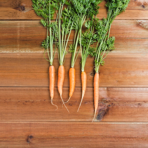 Free photo carrots with tops