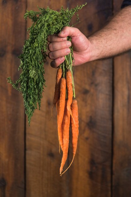 Carrots