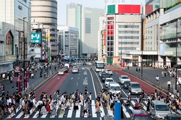 日光の下で都市交通の車