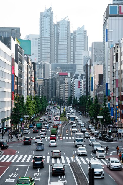 日光の下で都市交通の車