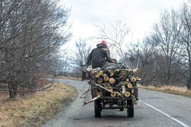 Cart with tree logs rural landscape back view