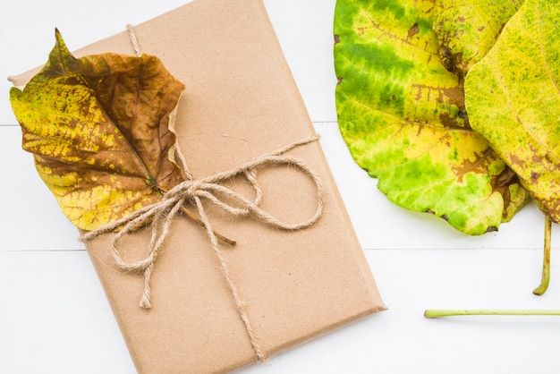 Carton box near leaves 