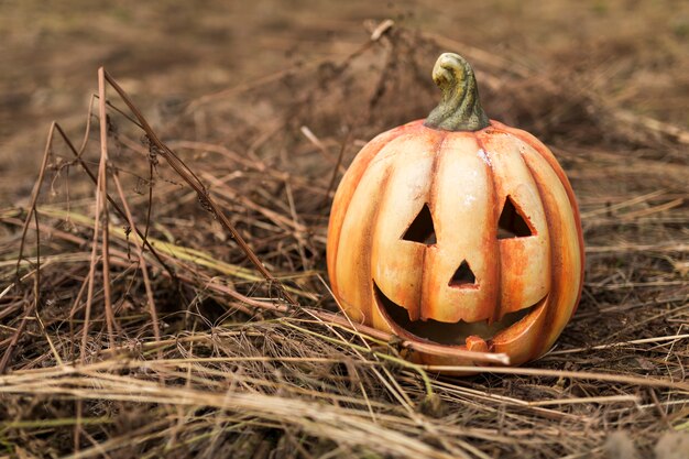 Carved out pumpkin on dried leaves and sticks