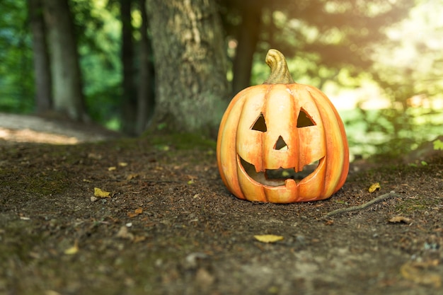 Carved out pumpkin on the ground