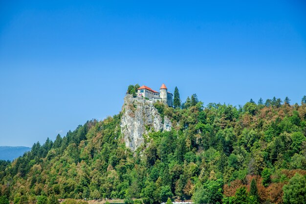 Castle on top of the cliff in summer time
