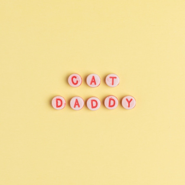 Free photo cat daddy typography beads letter