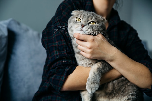 Cat enjoying caress of hostess