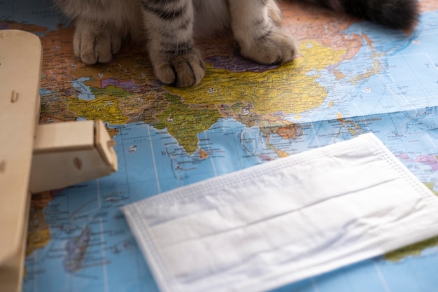 Free photo cat paws and world map