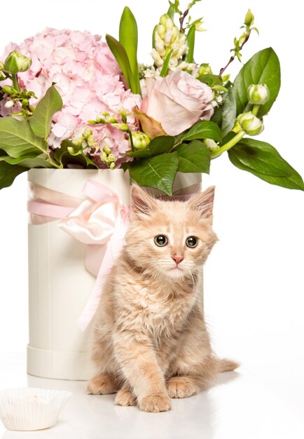 The cat with flowers