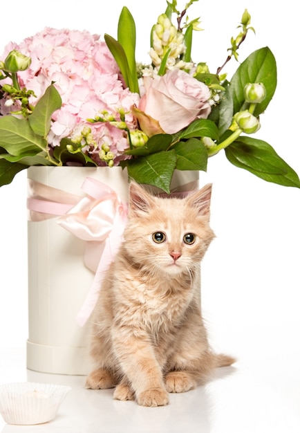 The cat with flowers