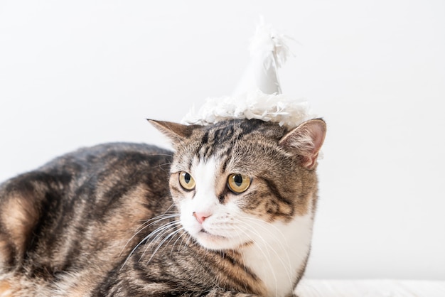 Кот с праздничной шляпой