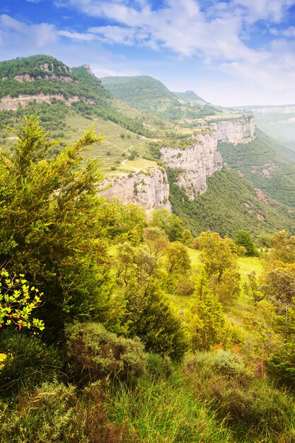 catalan mountains landscape in summer