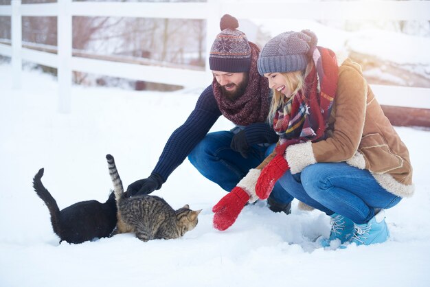 Foto gratuita i gatti hanno bisogno di un po 'di riscaldamento in inverno