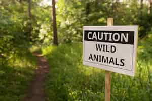 Free photo caution wild animals sign in forest