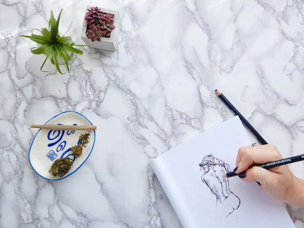 CBD/THC joint and flower with hand model drawing