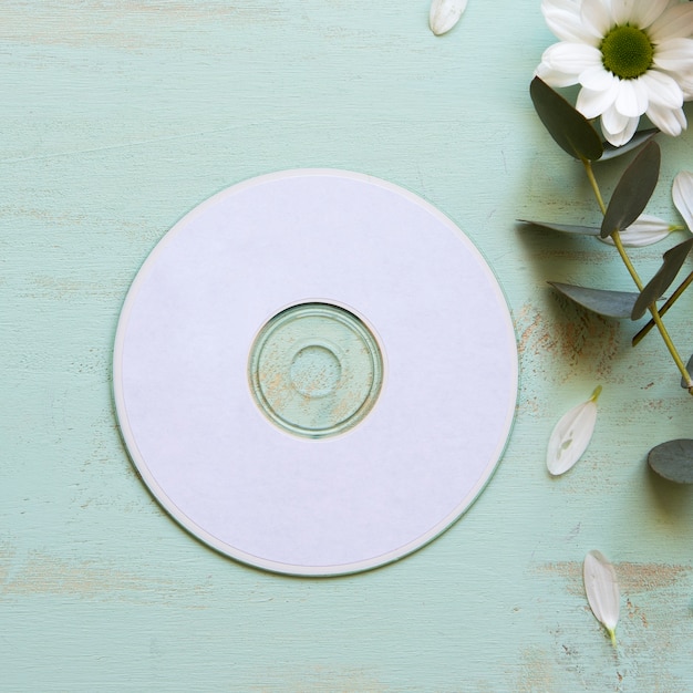 Foto gratuita mockup cd accanto al fiore