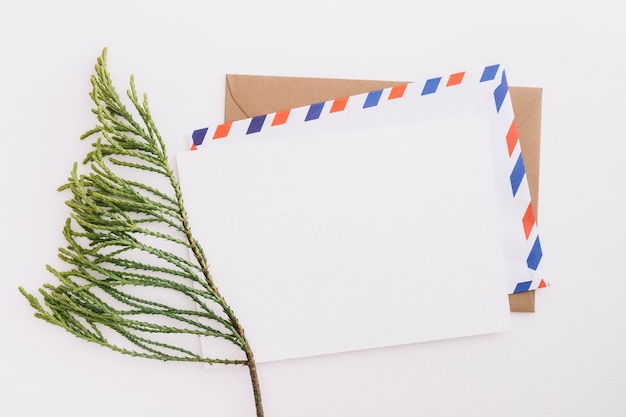 Cedar twig with mail envelope on white background