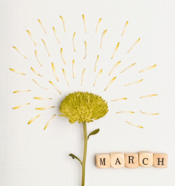 Free Photo celebration flower for 8th of march