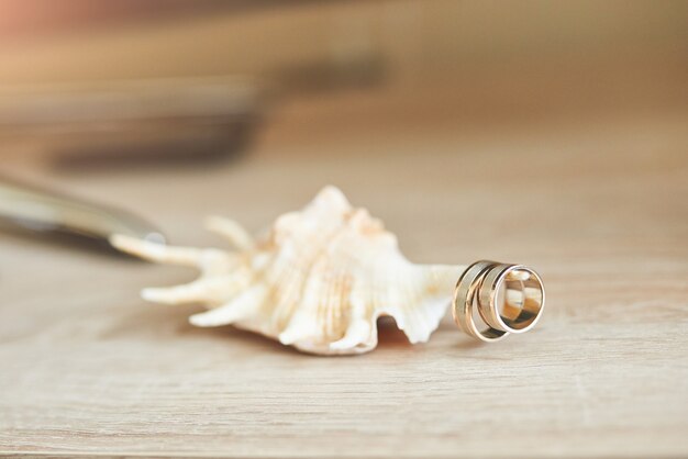 Celebration Valentine's day on beach, rings on shell