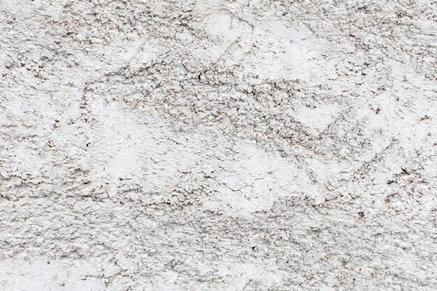 cement or concrete wall texture or background